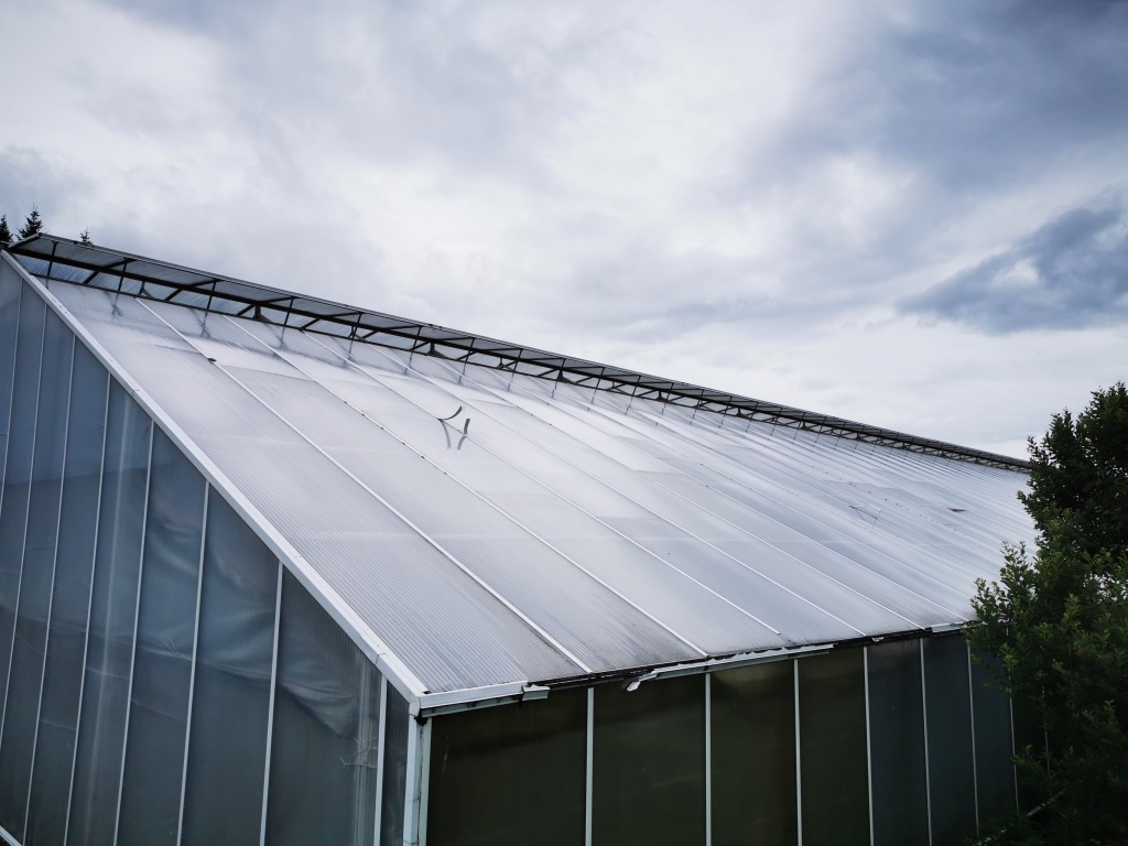 Drivhus før renovasjon