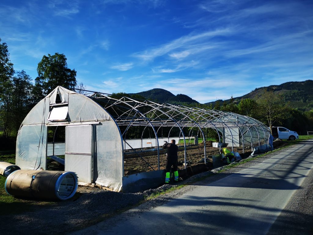Drivhus før renovasjon