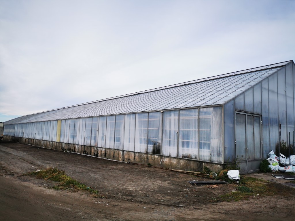 Drivhus før renovasjon