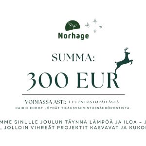 300 euron lahjakortti