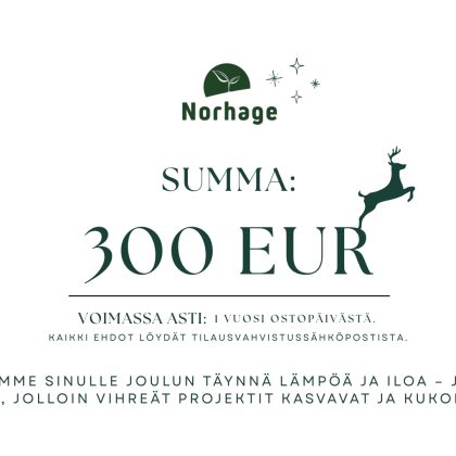 300 euron lahjakortti