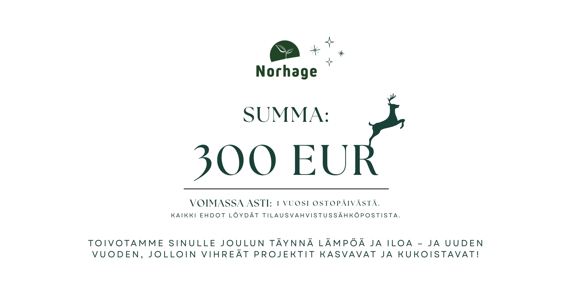 300 euron lahjakortti