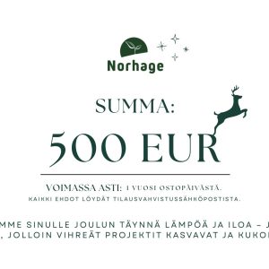 500 euron lahjakortti