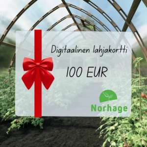 Digitaalinen Lahjakortti – 100 EUR